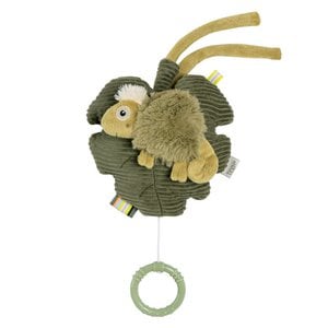 Musical chameleon