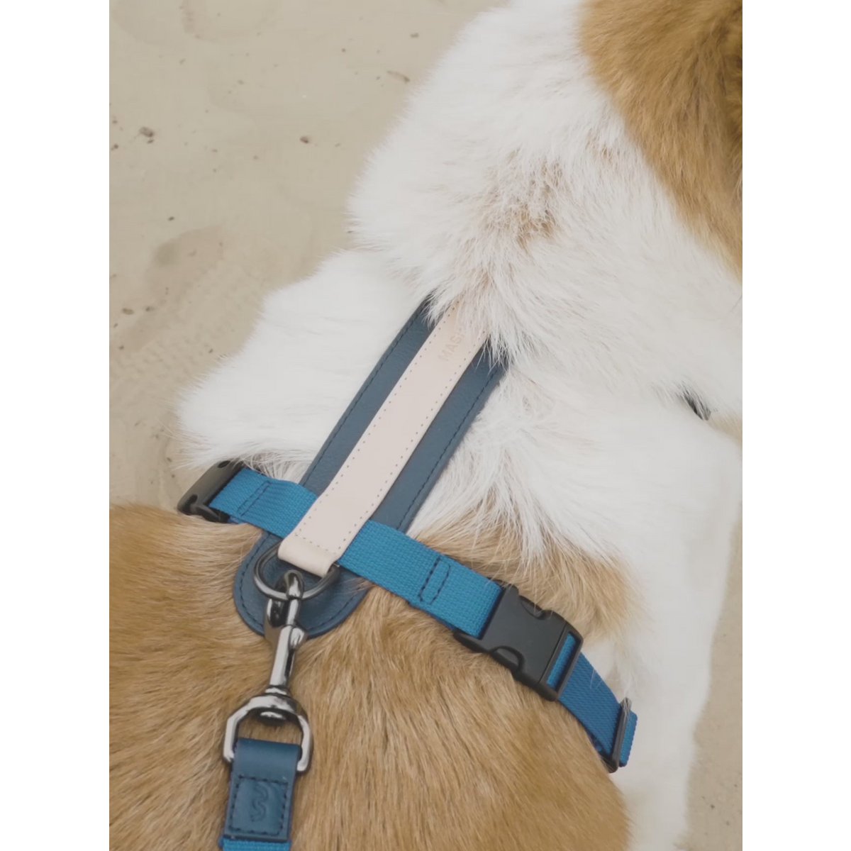 ARCH HARNESS NAVY/GRANDALA BLUE
