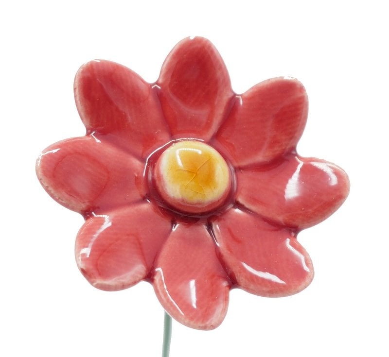 Margarita malva pequeña 3,5 cm