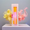 Dip Dye Neon * Valentine Bunny