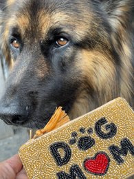 Håndlavet beaded Hunde Mom Pouch * Gave *