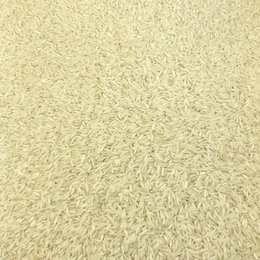 Bulk Organic White Basmati Rice