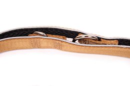 Dog leash gold, M
