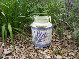 Lavender - milk jug