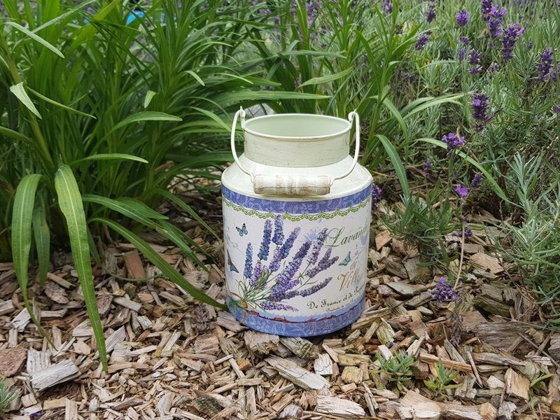 Lavender - milk jug