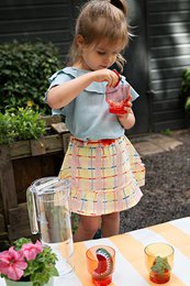 Skirt Rijk