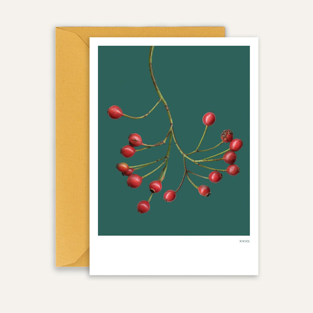 Winter Crush - RedBerry06, tarjeta de felicitación + sobre