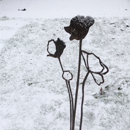 Poppy open up - Stalowy obiekt Corten