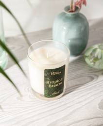 Bougie Parfumée à la Cire de Noix de Coco Brise Tropicale