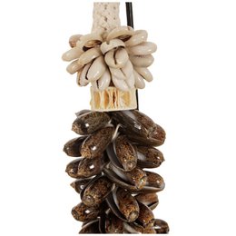 Collier Coquillage J62 Sur Support