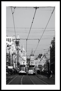 Trams of Amsterdam