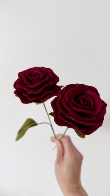Flor de la floración rosa rojo oscuro