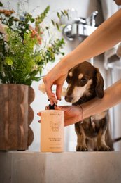 Champú hidratante para perros