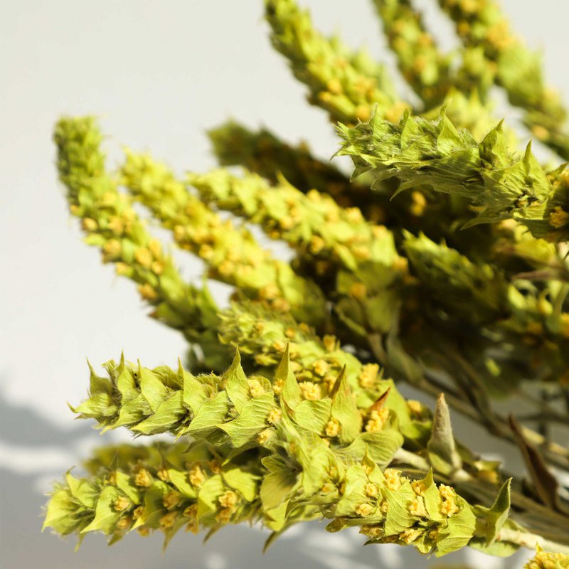 Græsk økologisk bjergte, 60 gr