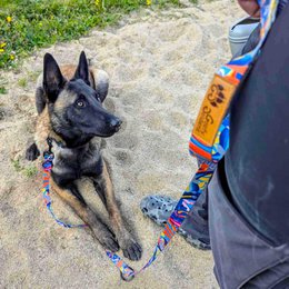 Multi-position Lagoon leash
