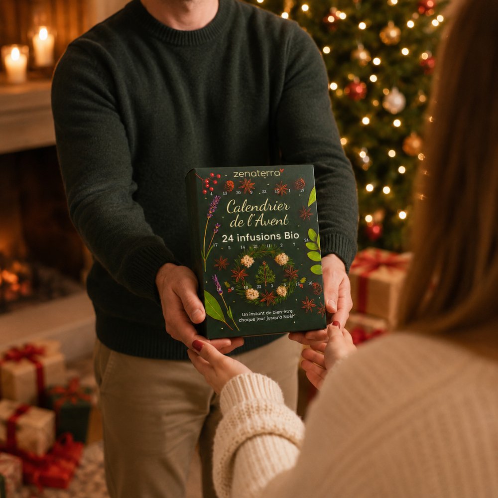 Calendario dell'Avvento 24 Tisane Biologiche – Infusi di Piante, Frutta e Spezie 100% Naturali – Confezione Regalo Gourmet & Benessere Senza Caffeina – Aromi Naturali e Benefici