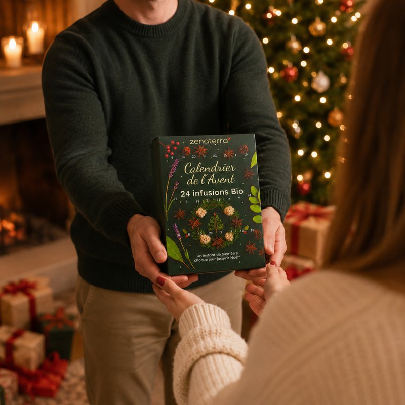 Calendario dell'Avvento 24 Tisane Biologiche – Infusi di Piante, Frutta e Spezie 100% Naturali – Confezione Regalo Gourmet & Benessere Senza Caffeina – Aromi Naturali e Benefici
