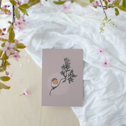 Carte postale Robin avec branche