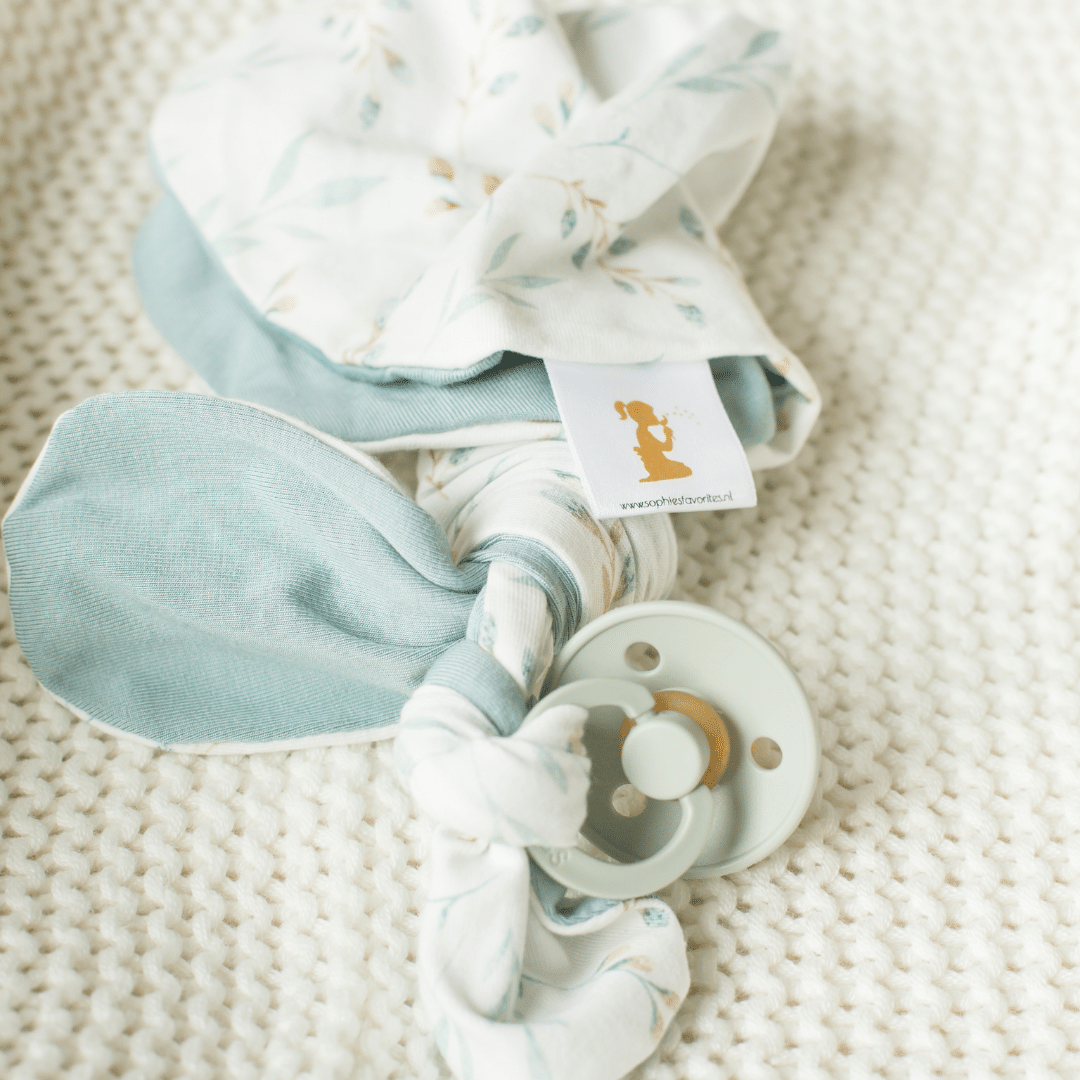 Pacifier Cuddle Rabbit - Willow Branch