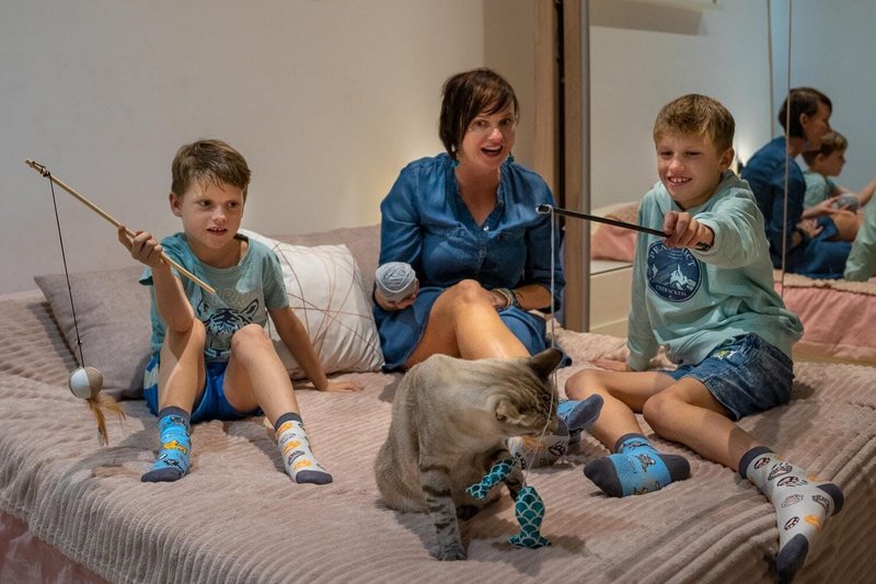 Kindersocken - Katzen