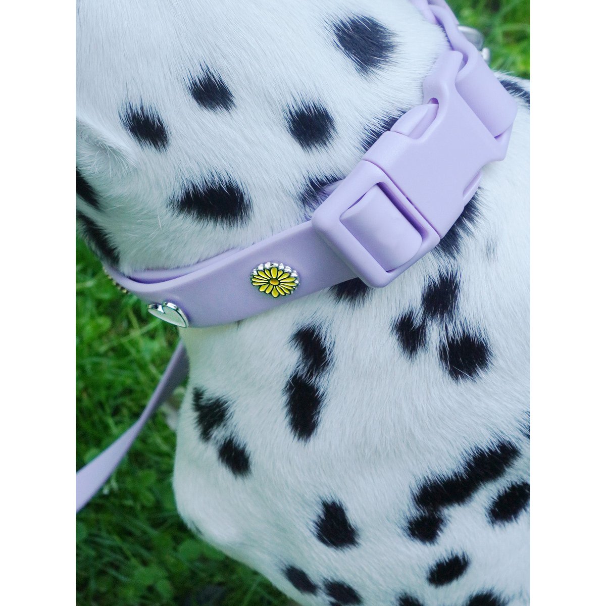 Flower dog collar pendant