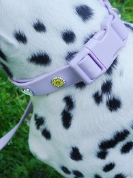 Blume Hundehalsband Anhänger