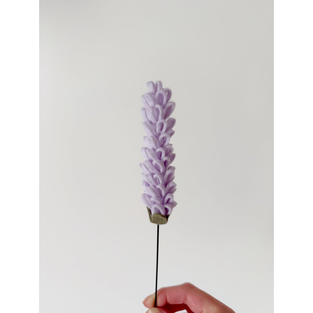 Viltbloem Lavendel Lila