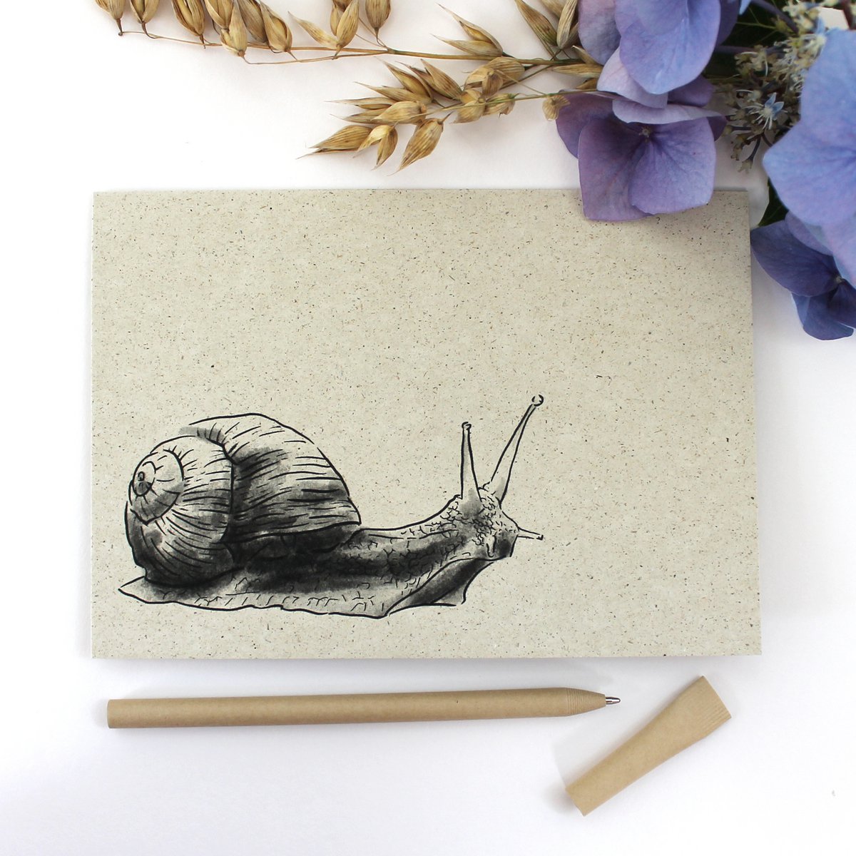 Klappkarte aus Graspapier, Weinbergschnecke