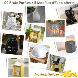 Bestseller-Paket – 100 Parfümbrenner + 5 kostenlose Ausstellungsmodelle