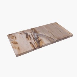 Tablett aus versteinertem Holz – 20 × 10 cm | Gemischte Auswahl
