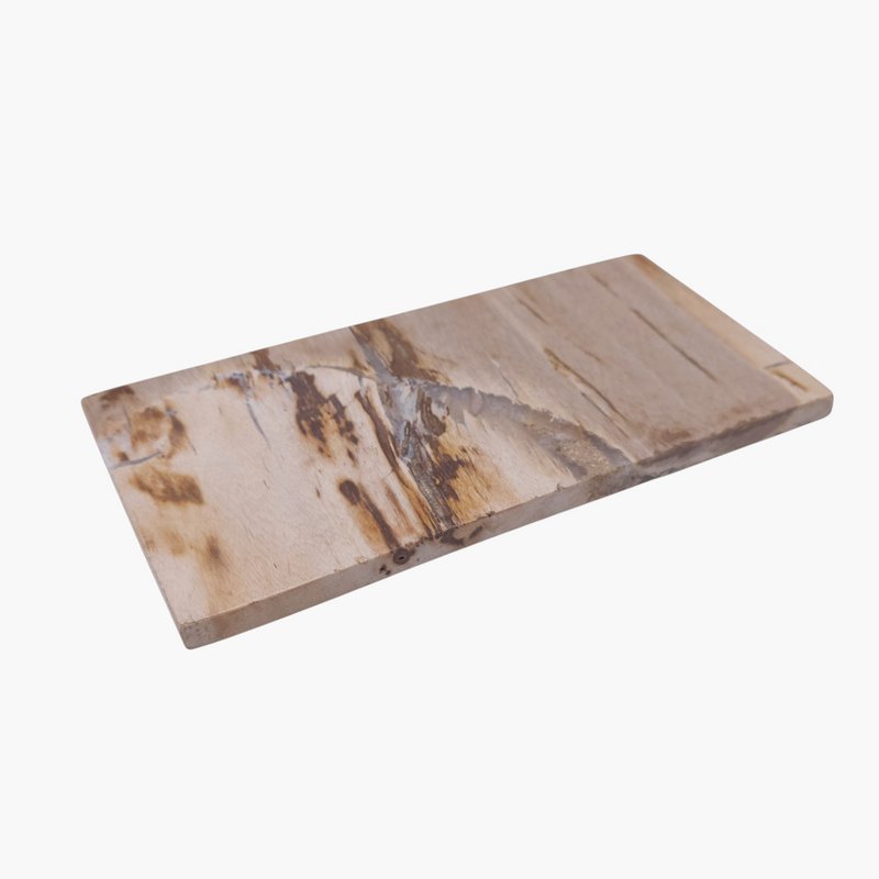 Tablett aus versteinertem Holz – 20 × 10 cm | Gemischte Auswahl