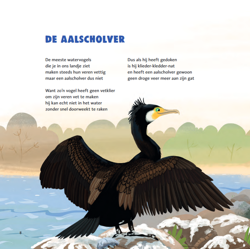 Marianne Busser & Ron Schröder - The thick bird book