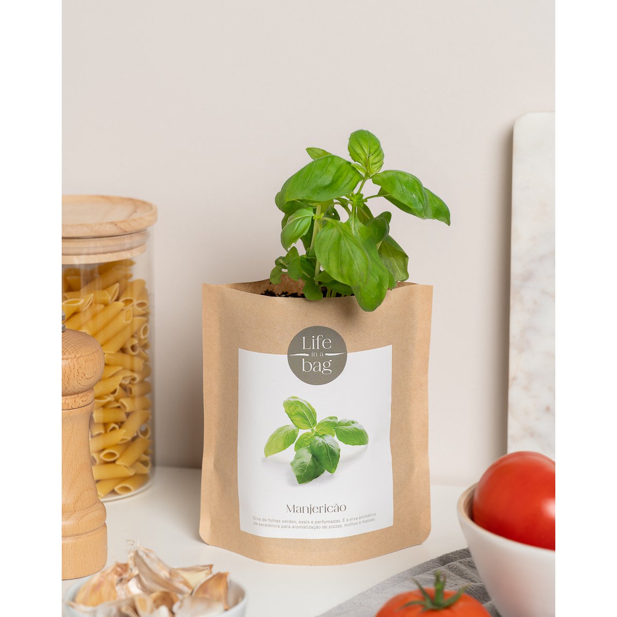 Grow BAG Bazylia