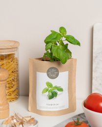 Coltivare Basil con borse