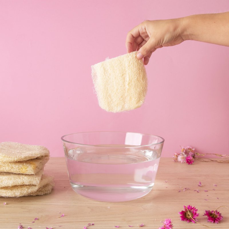 Raw Loofah | Durable sponge
