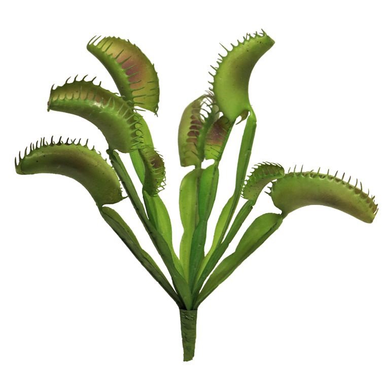 Acchiappamosche Venere - 25 cm