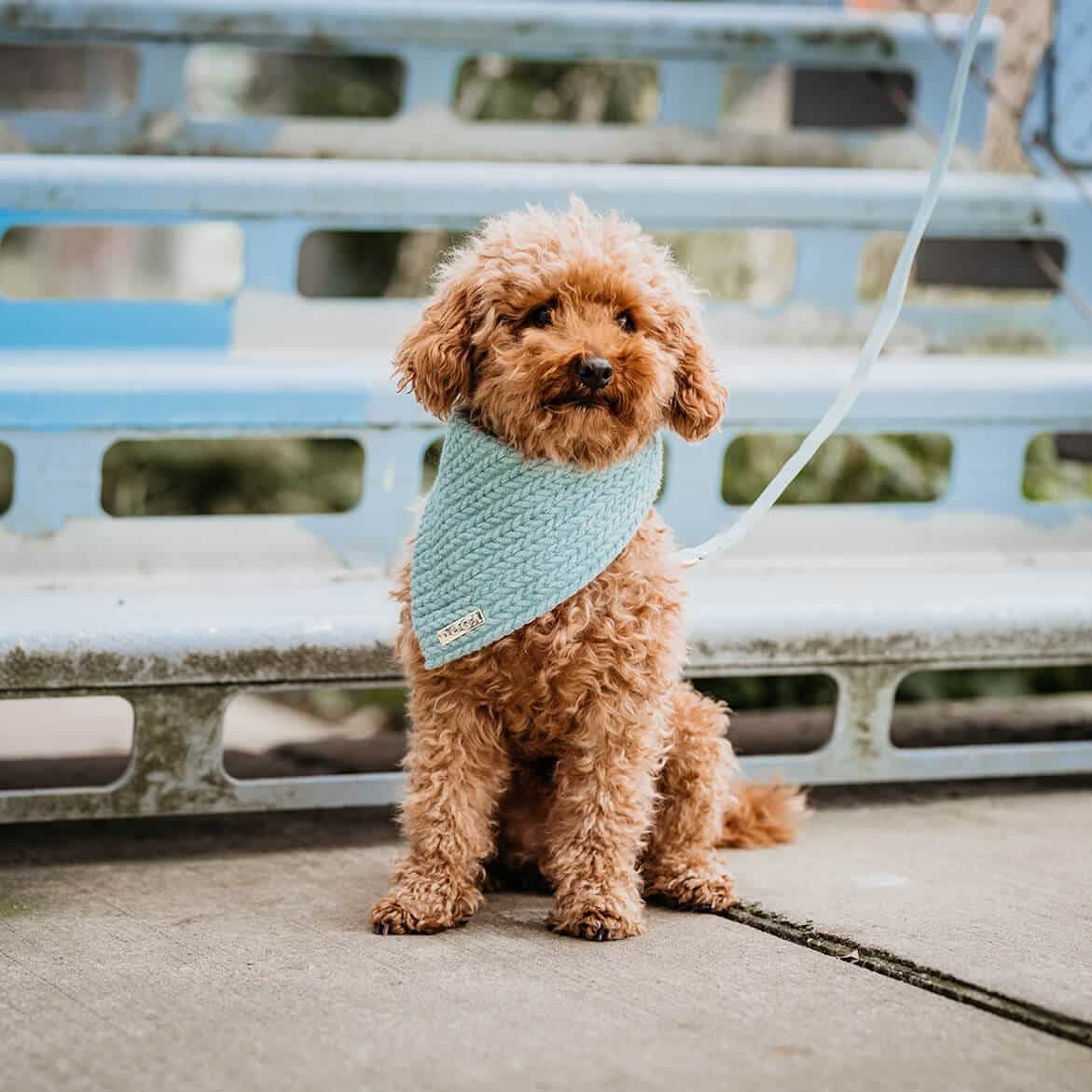 Dog bandana Cably Mint