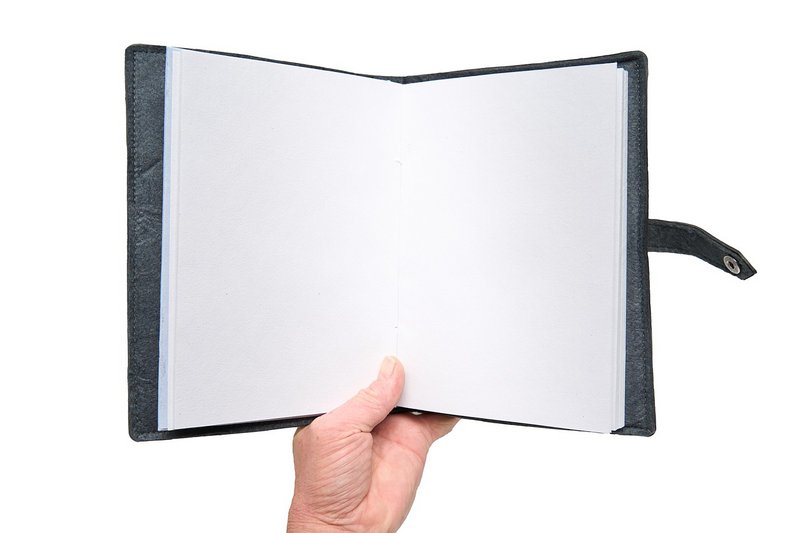 Wings Desirable Duck notebook