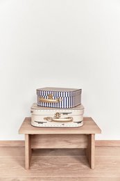 Mini Suitcase Crocodile & Stripe - Set of 2