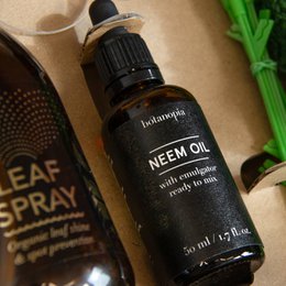 Kit SOS Plant: Salvando plantas enfermas, una hoja a la vez