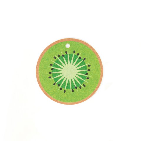 100 pieces of gift tags kiwi