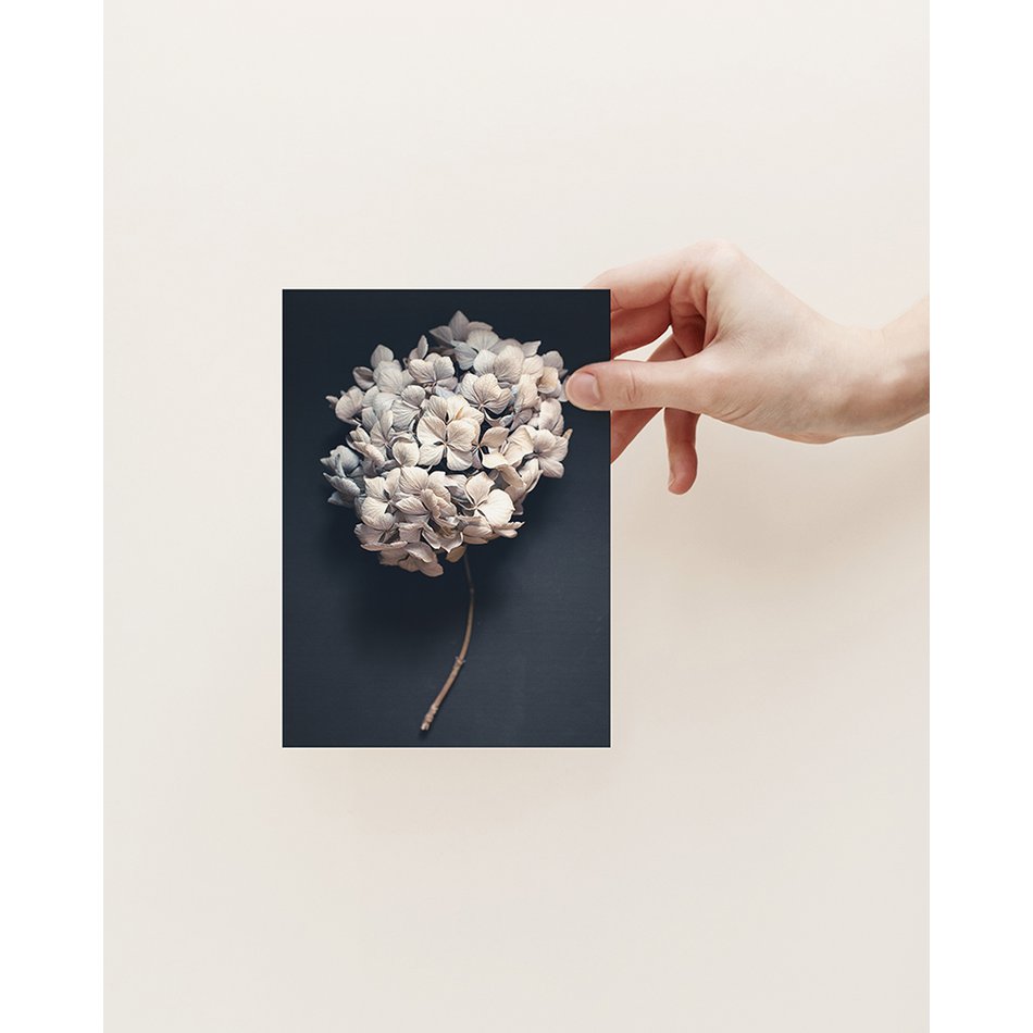 Postkarte Dark Hydrangea (PK_064)