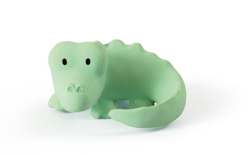 Mon premier crocodile animal de zoo