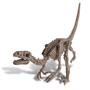 Dig Your Dino – Velociraptor – FR + NL-Version