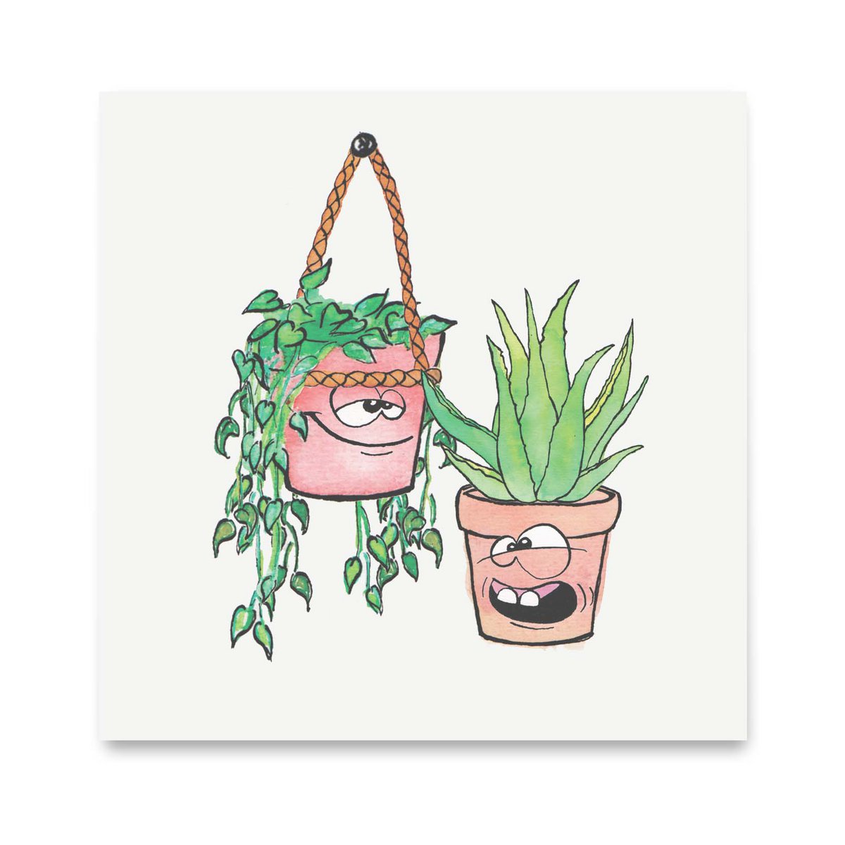 M0025 - Aloe Vera