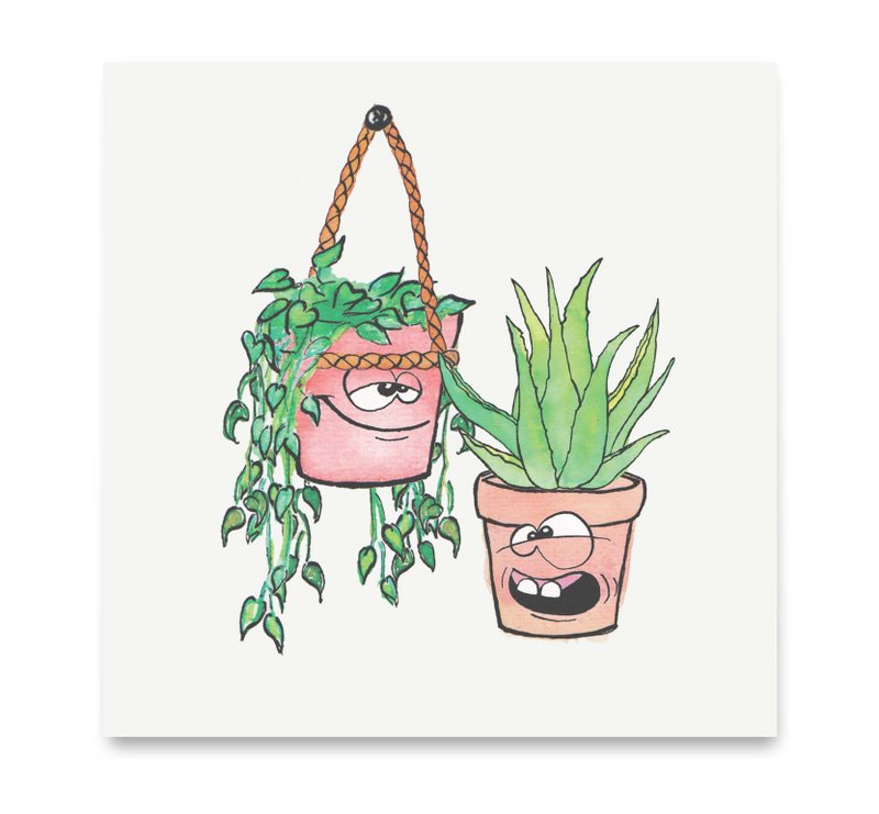 M0025 - Aloes