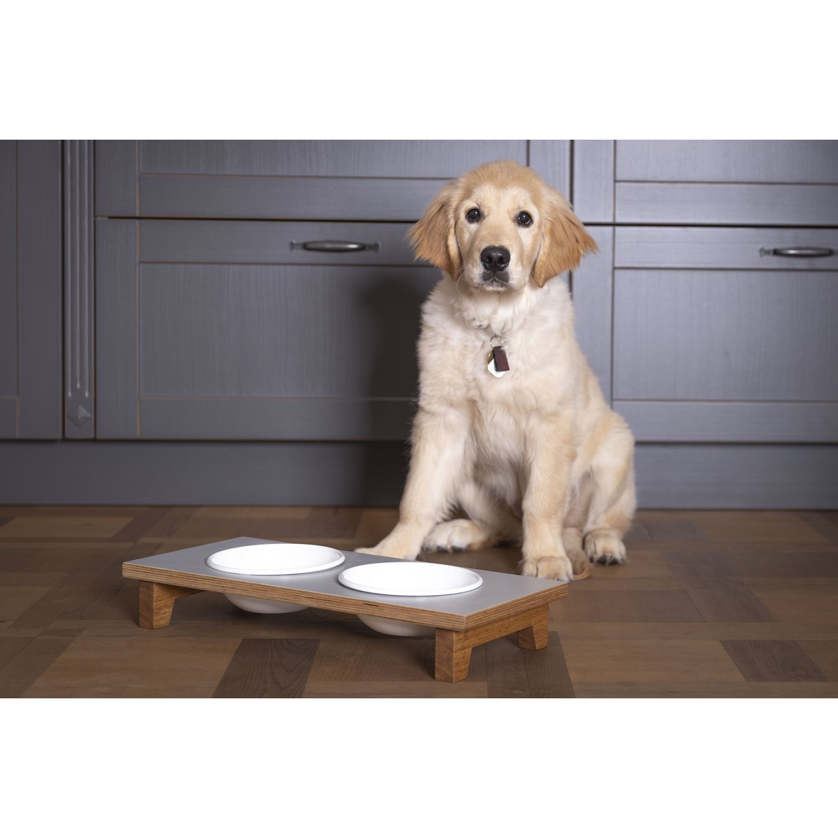 Easy, dog & cat feeding stand