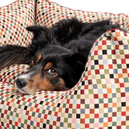 Hundebett Box Bett Sanibel rot