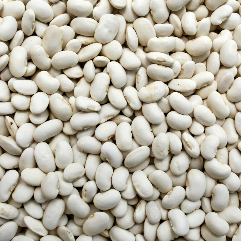 Bio Weiße Jumbobohnen aus China