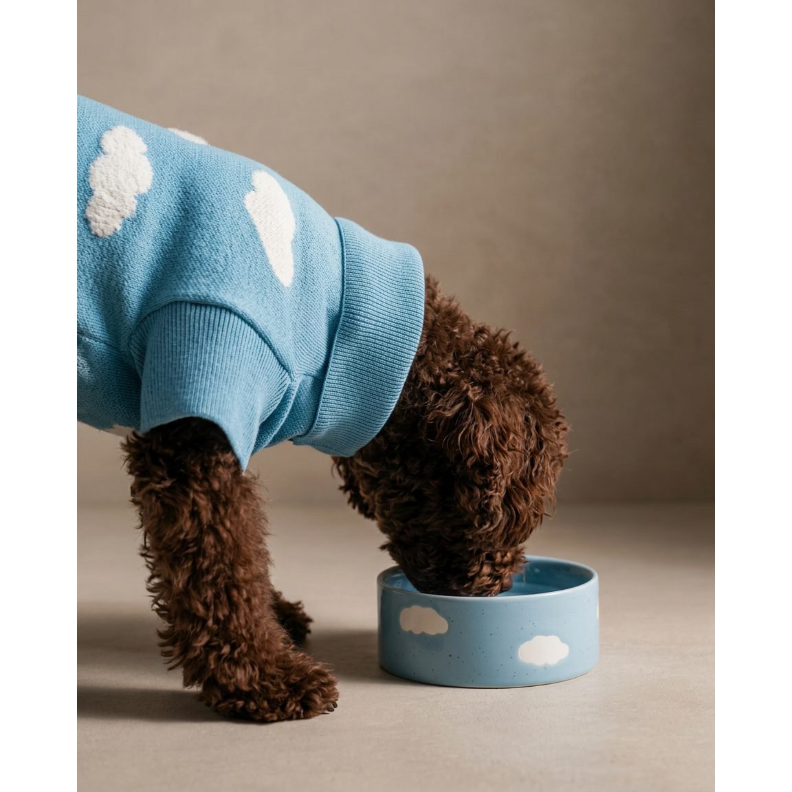 Cloud Pet Bowl 14cm 2 Pieces Set